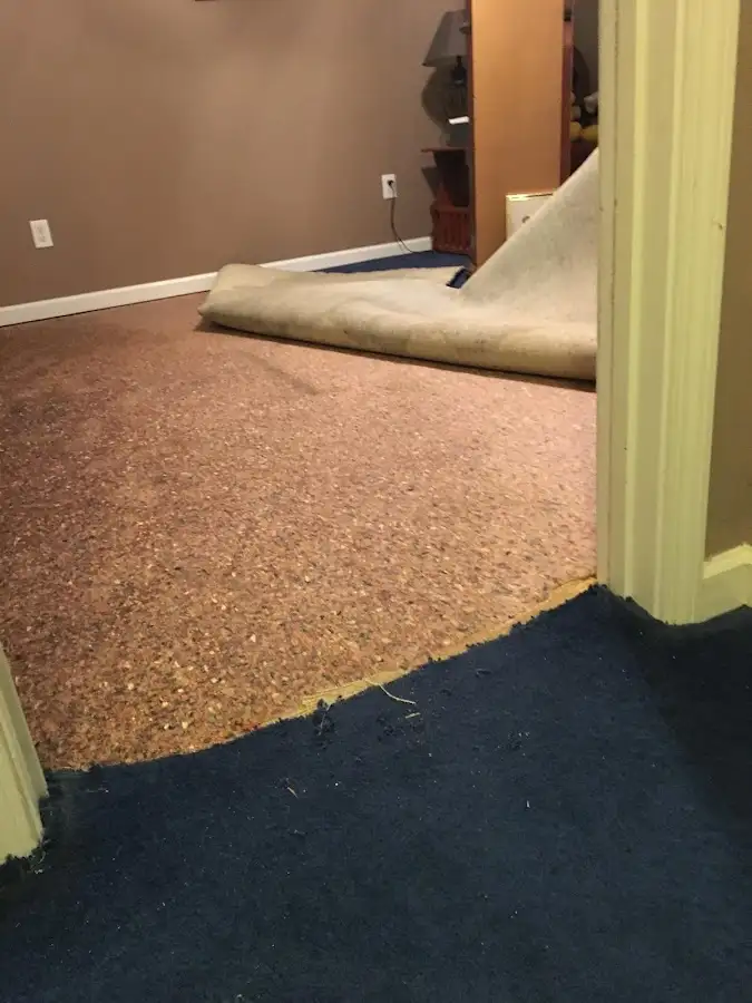 Carpet pad removal revealing water damage during Drying & Dehumidification in Elm Grove