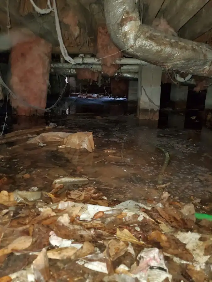 Crawl space flood assessment for Commercial Water Damage Restoration in Elm Grove