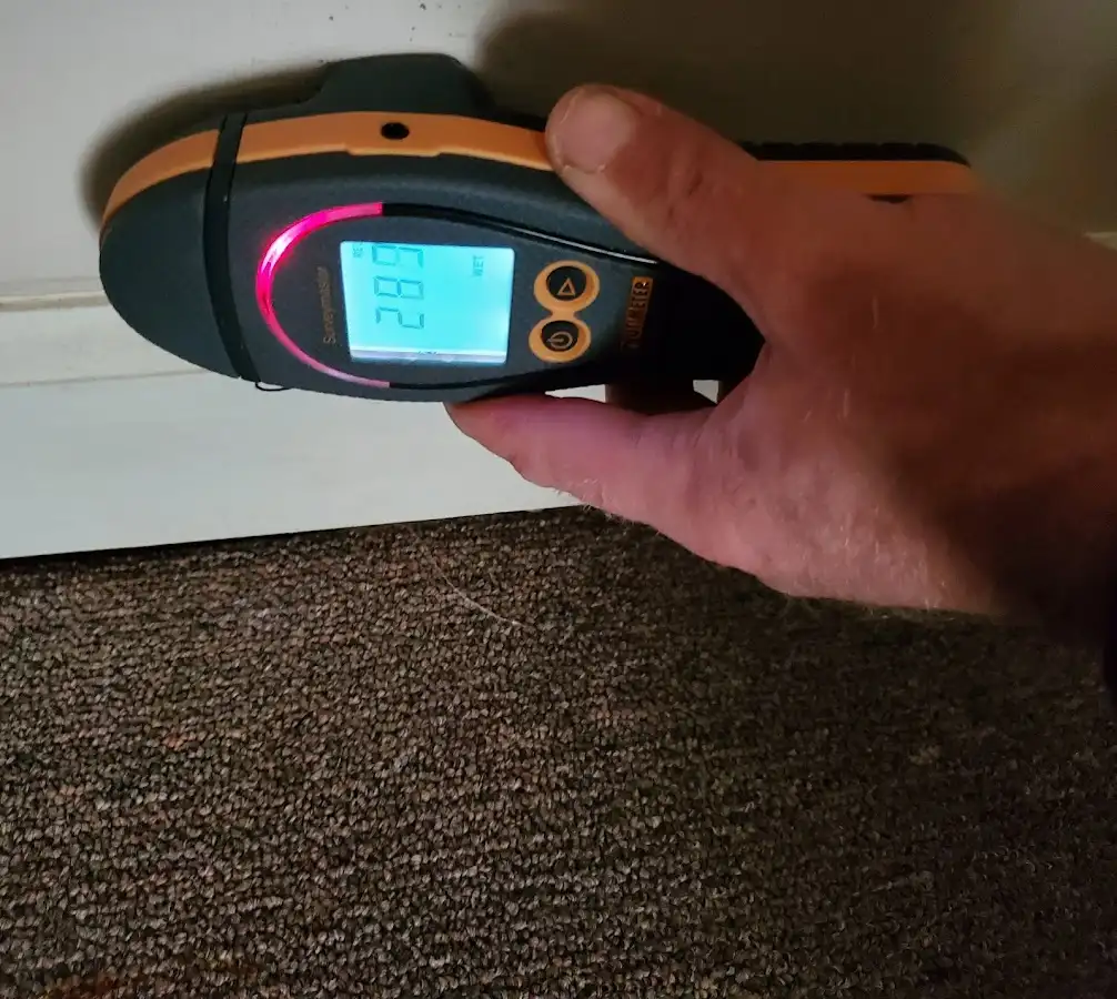 Moisture detection at baseboard during Sewage Cleanup & Sanitation in Elm Grove
